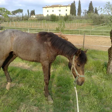 La Capannaccia